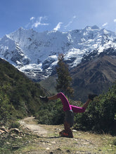 Load image into Gallery viewer, 8 Week Yoga & Wellness Program $100