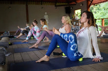 Load image into Gallery viewer, 8 Week Yoga &amp; Wellness Program $100
