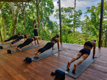Load image into Gallery viewer, 1 Month Yoga Membership
